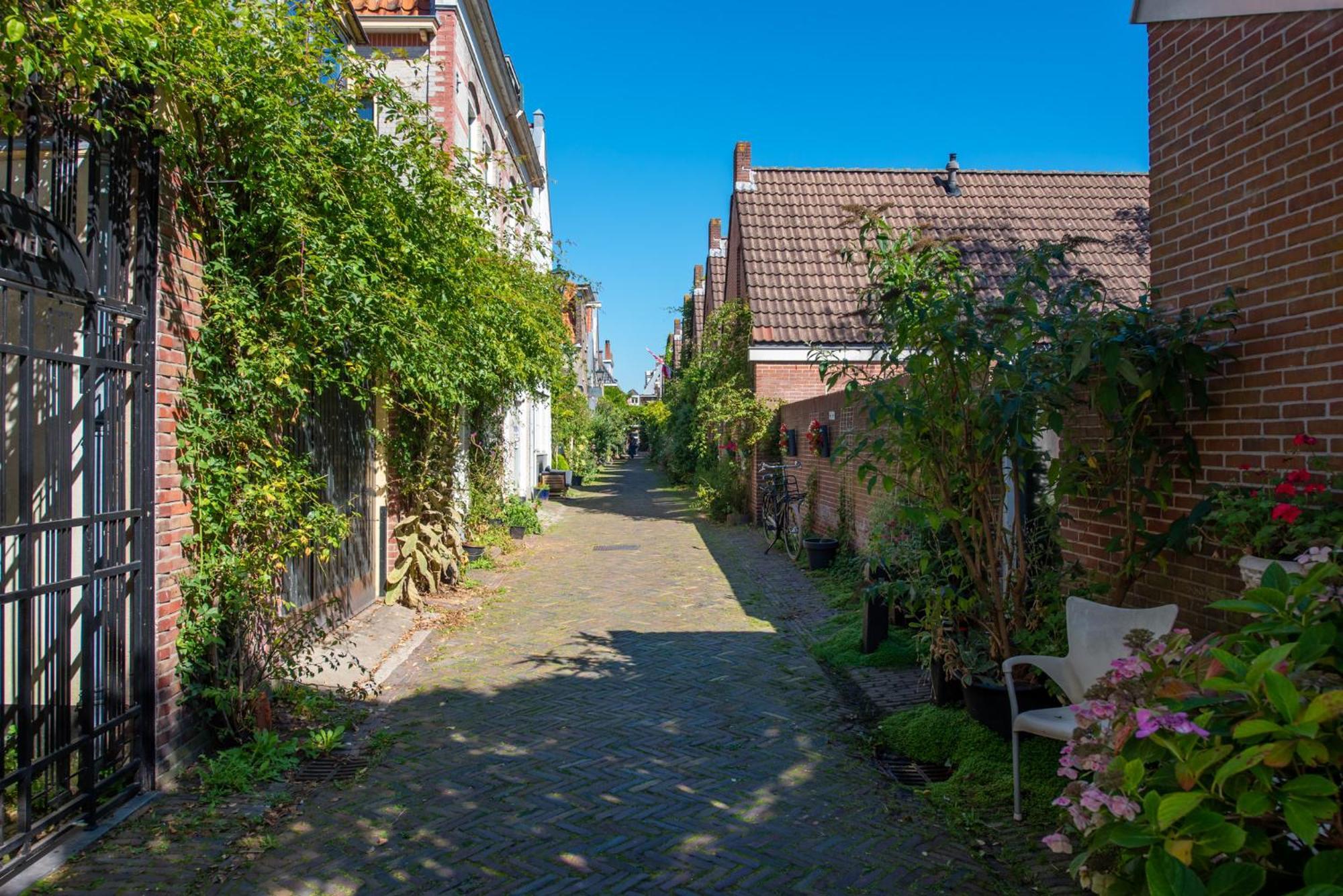 Gezellig Appartement In De Mooie Oude Binnenstad Van Alkmaar Eksteriør billede